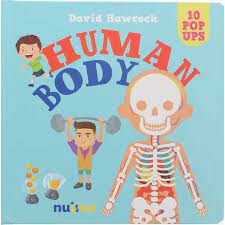 Human Body