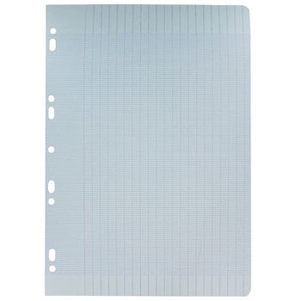 Copies doubles grands carreaux 200 pages perforées 