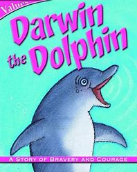 [extracurricular] Darwin the Dolphin