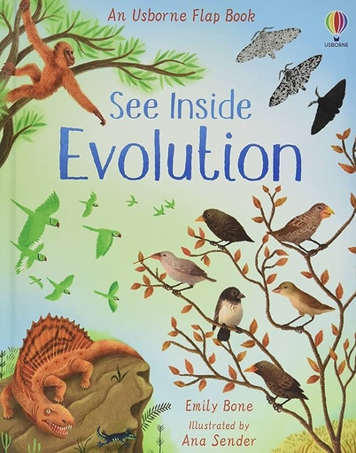 [Young Lift-the-flap] SEE INSIDE EVOLUTION