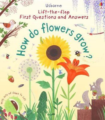 [9781409582137] HOW DO FLOWERS GROW 